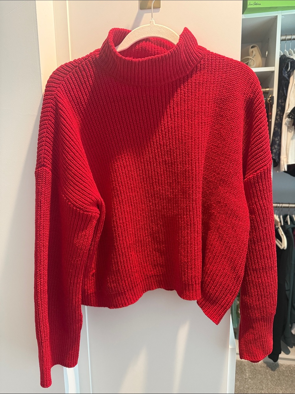 Sanctuary Red Turtleneck Ribbed Sweater - Women